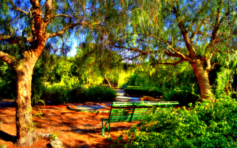 Green Bench in Park