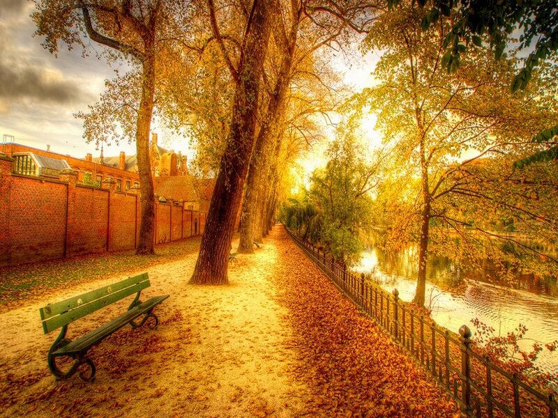 Green Bench on Path