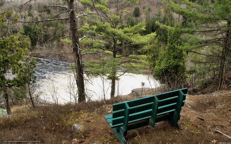 Green bench overlooking a river