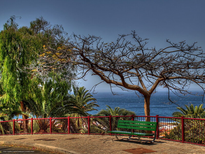 Green Bench Overlooking Ocean