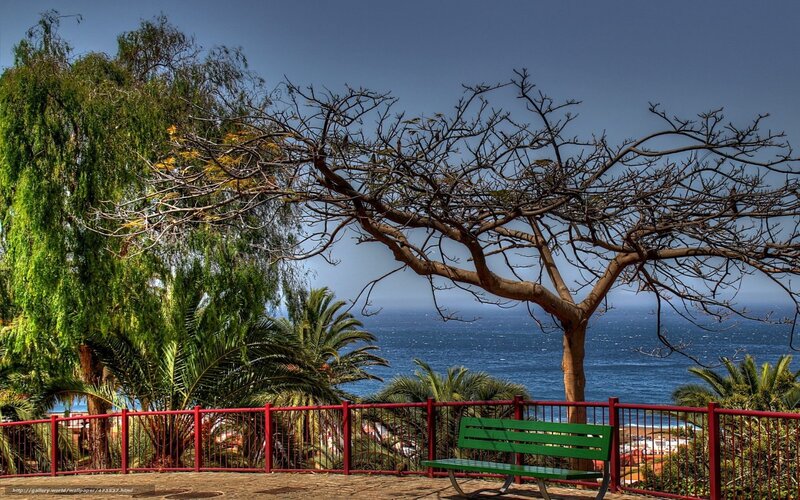 Green bench overlooking the sea