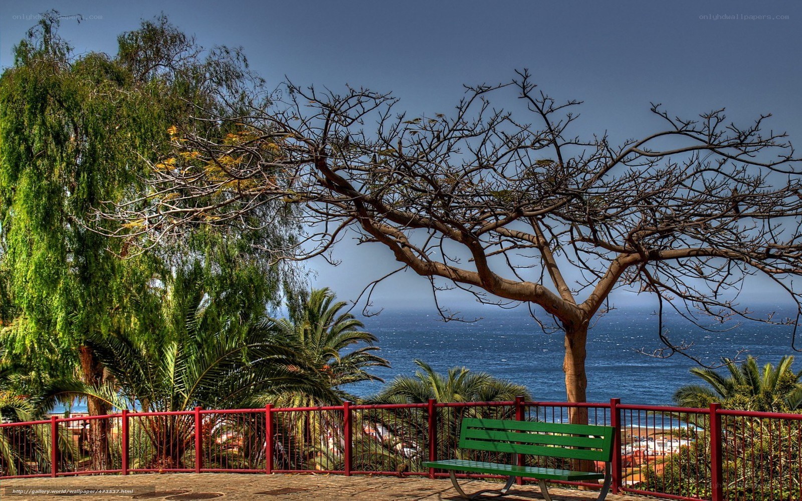 Green bench overlooking the sea