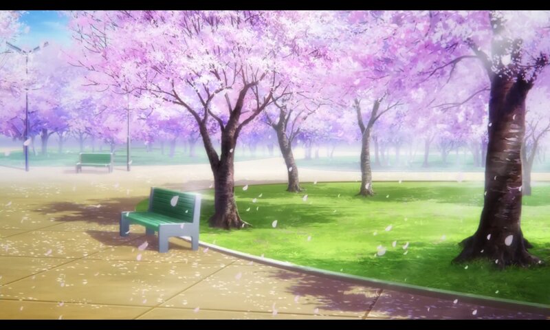 Green Bench under Cherry Trees
