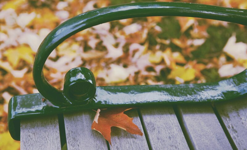 Green Bench with Leaf