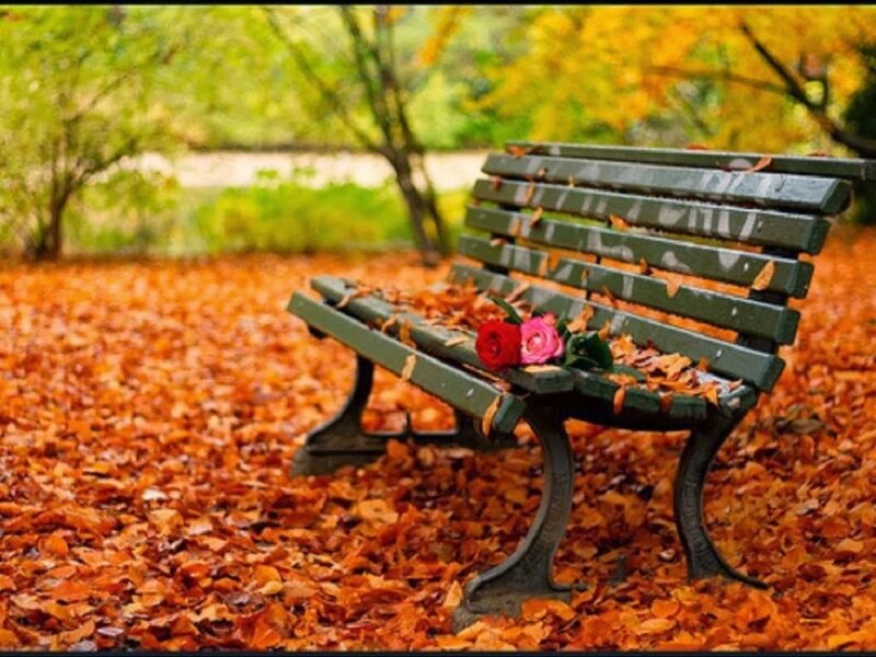 Green Bench with Roses