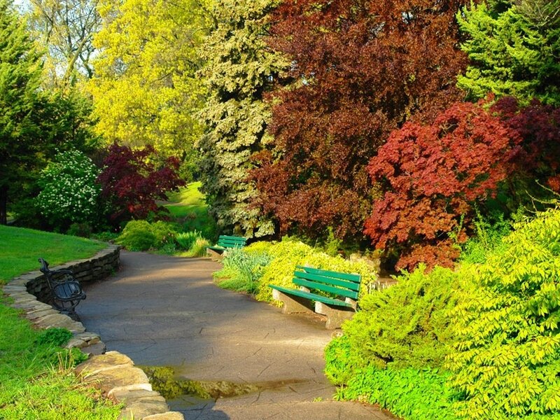 Green Benches in Garden — Serene, Afternoon