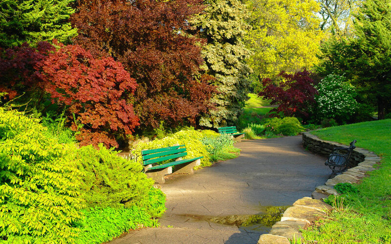Green Benches in Garden — Serene, Spring