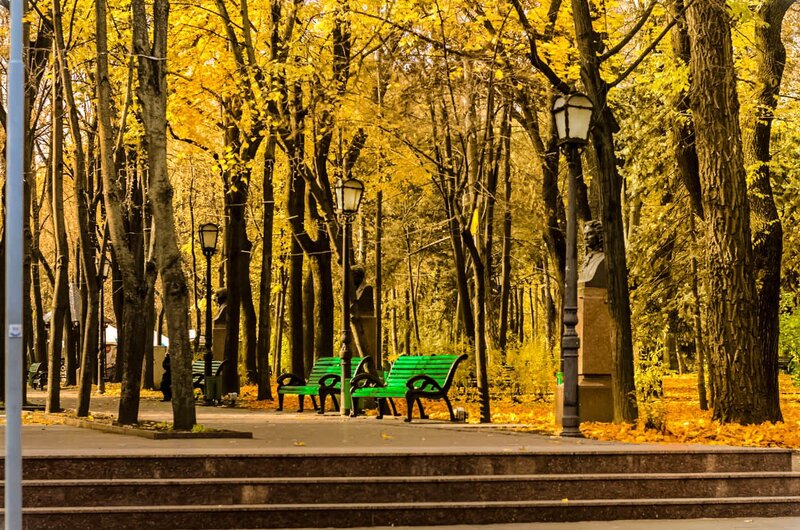 Green Benches in Park