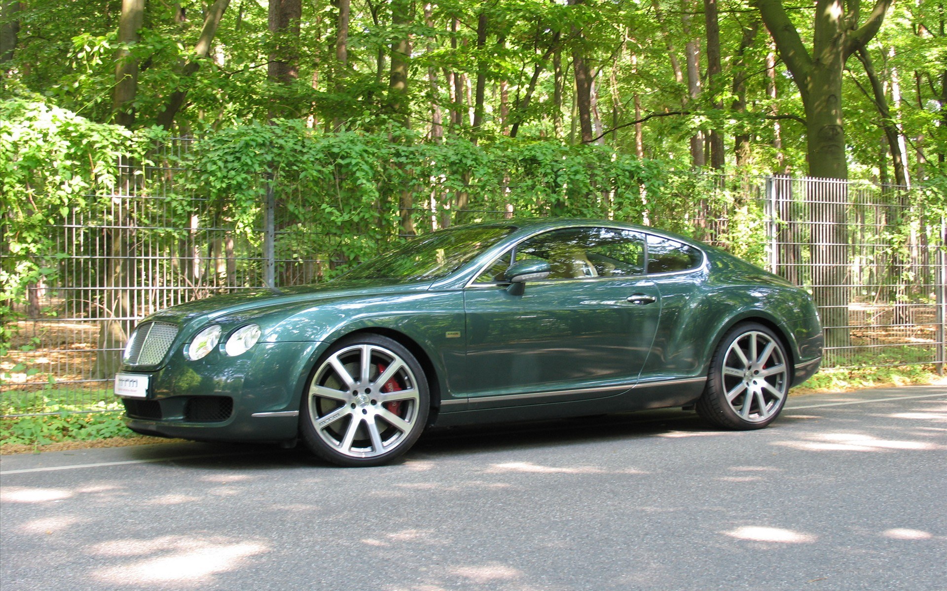 Green Bentley parked in forest