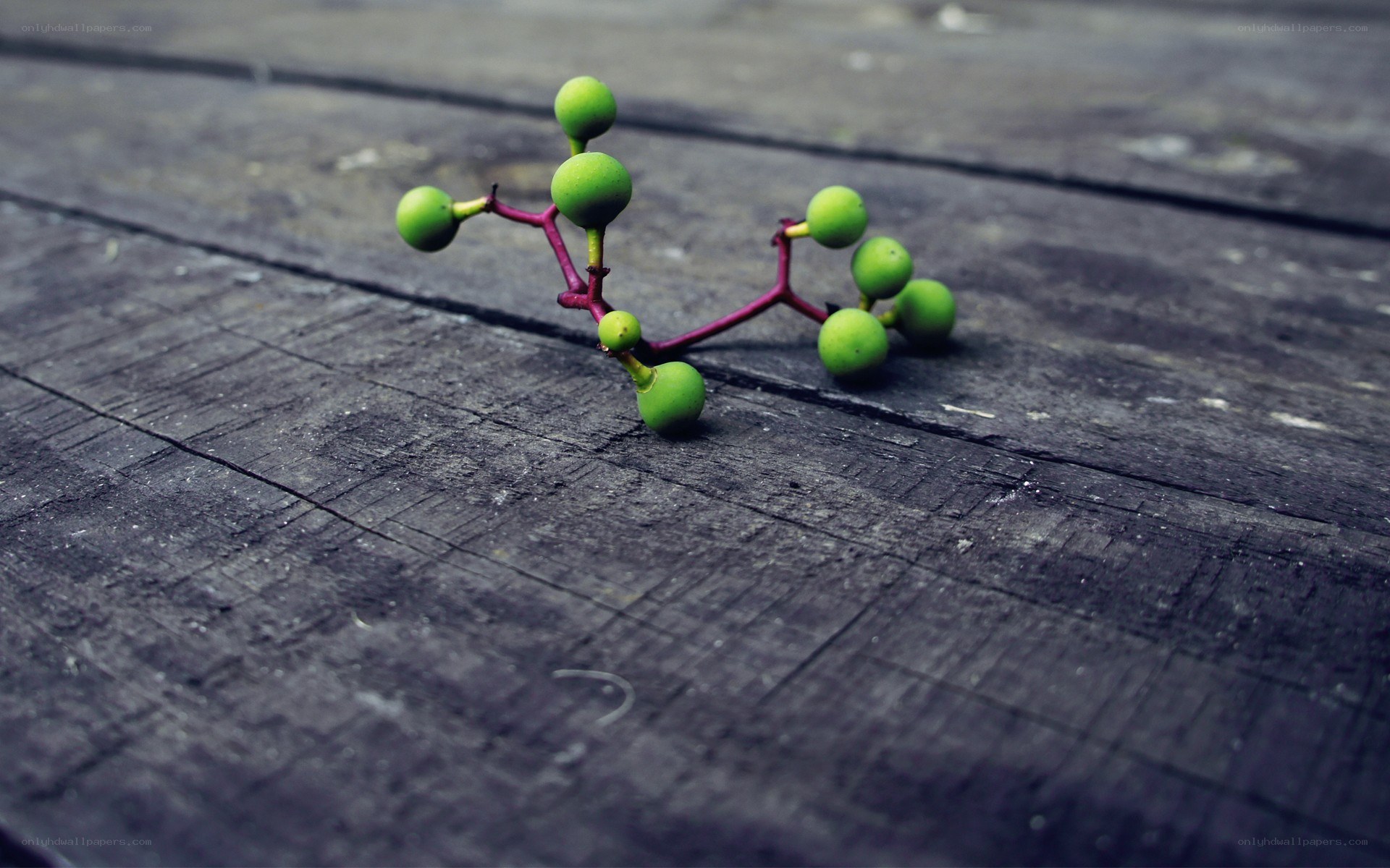 green berries on wood