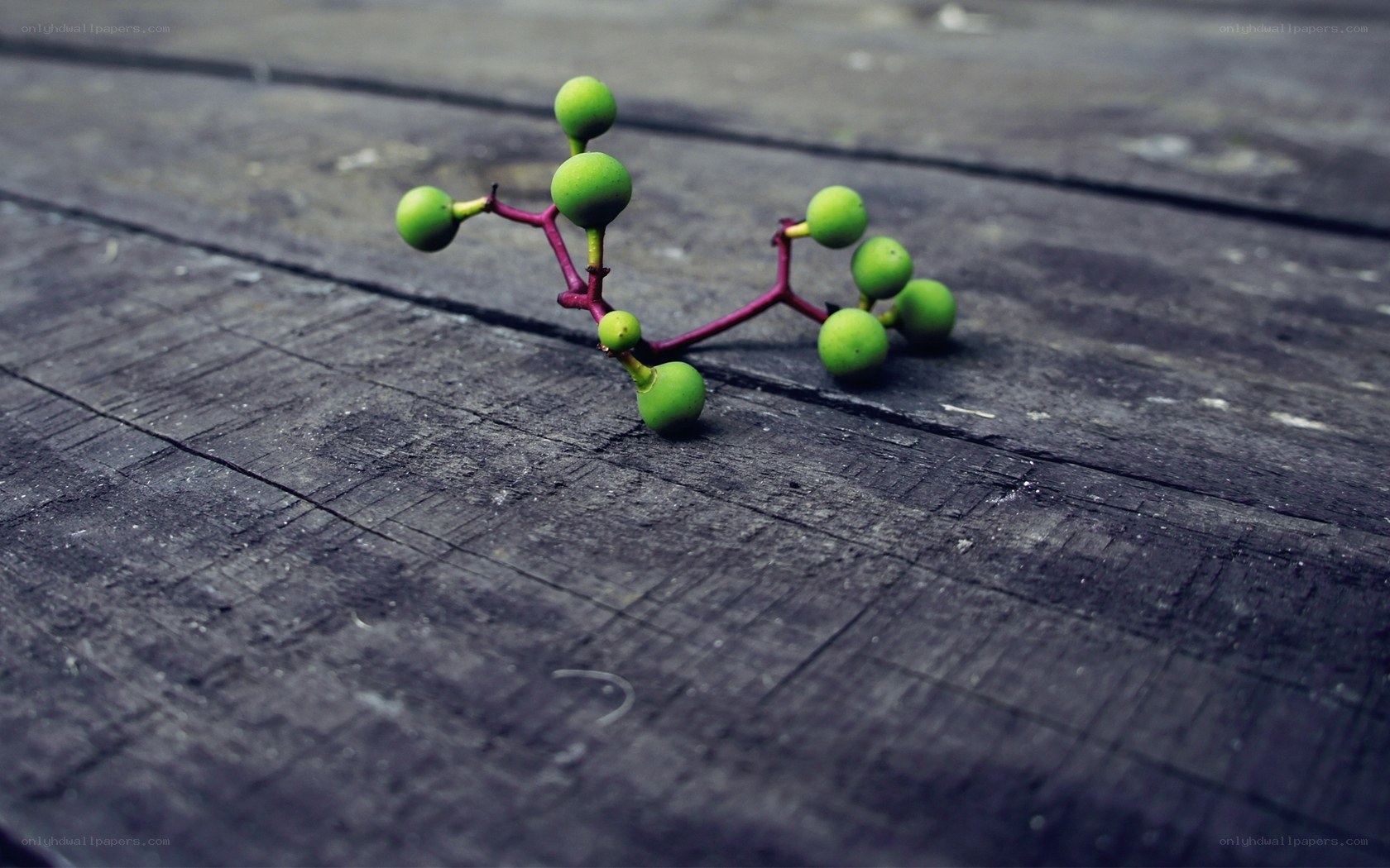 Green berries on wooden surface