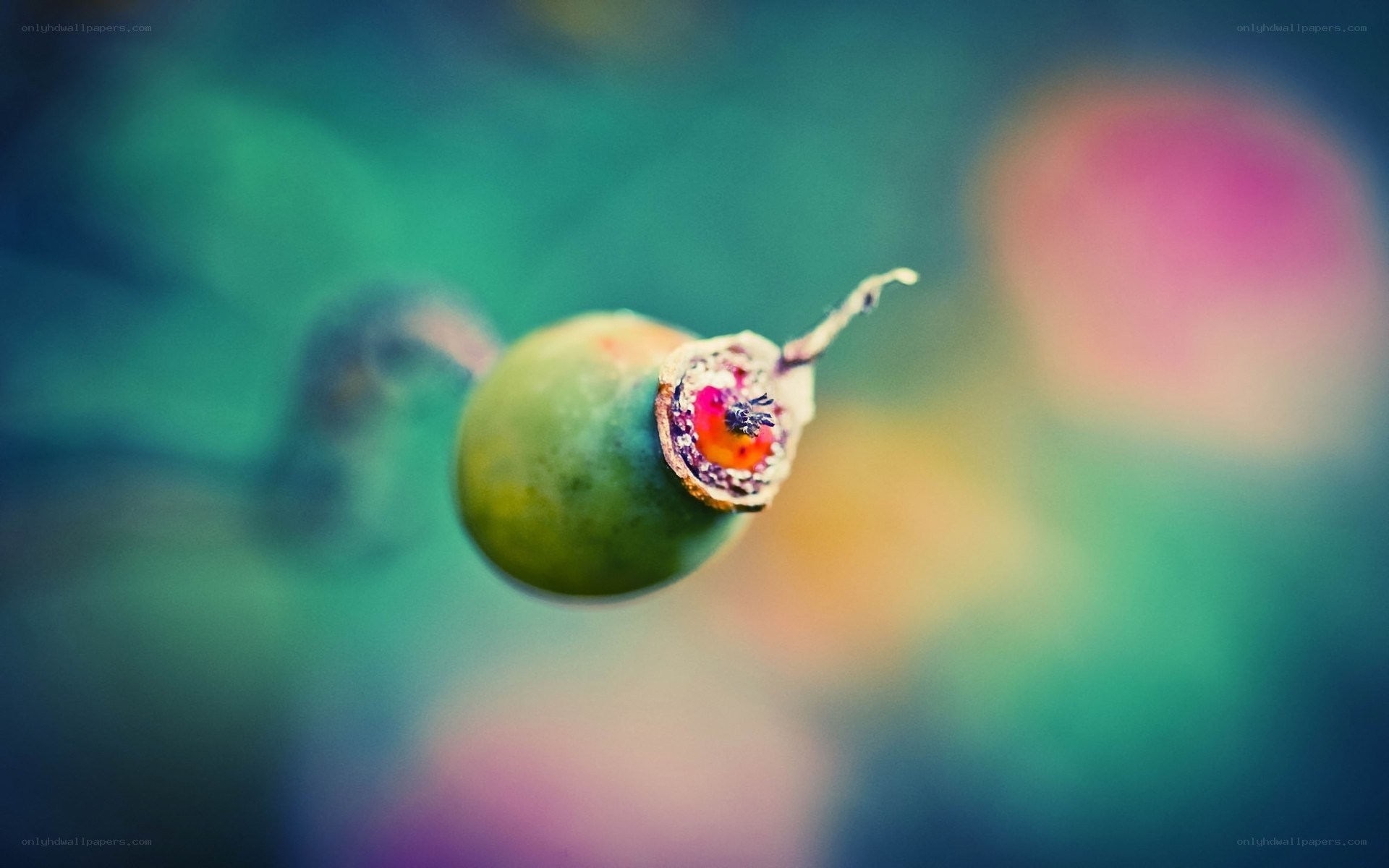 green berry with colorful core