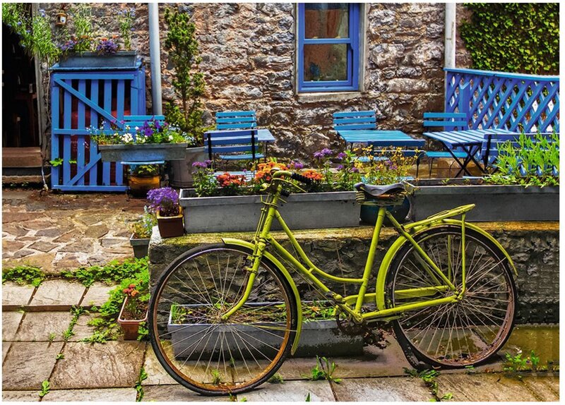 Green Bicycle in Courtyard
