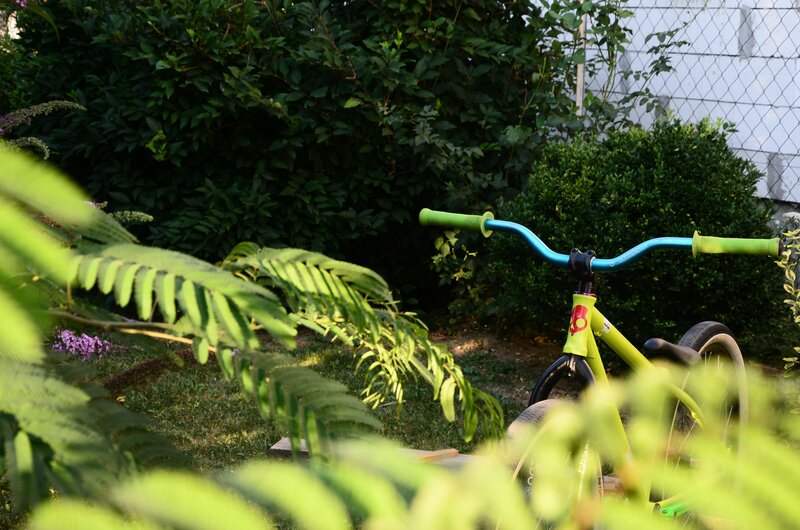 Green Bicycle in Garden