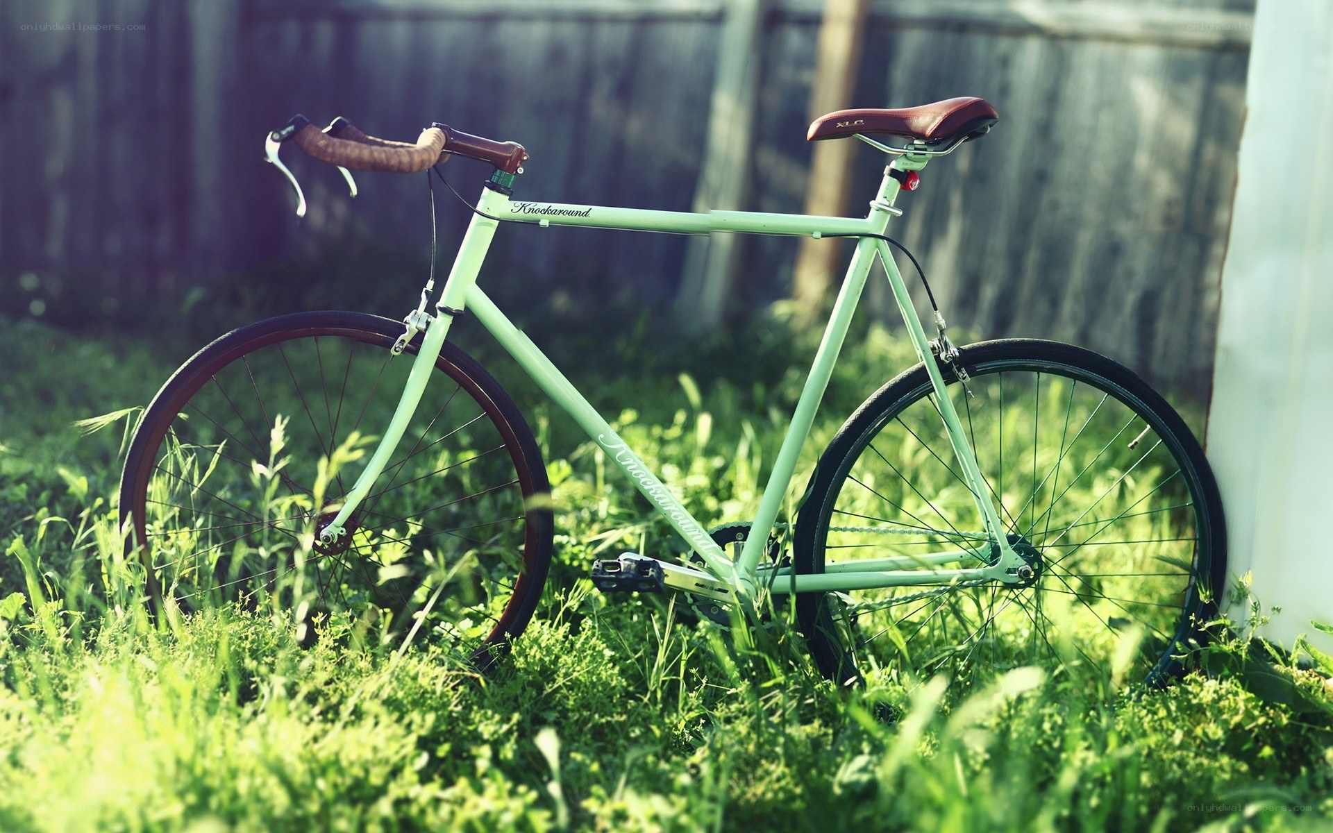 green bicycle in grass