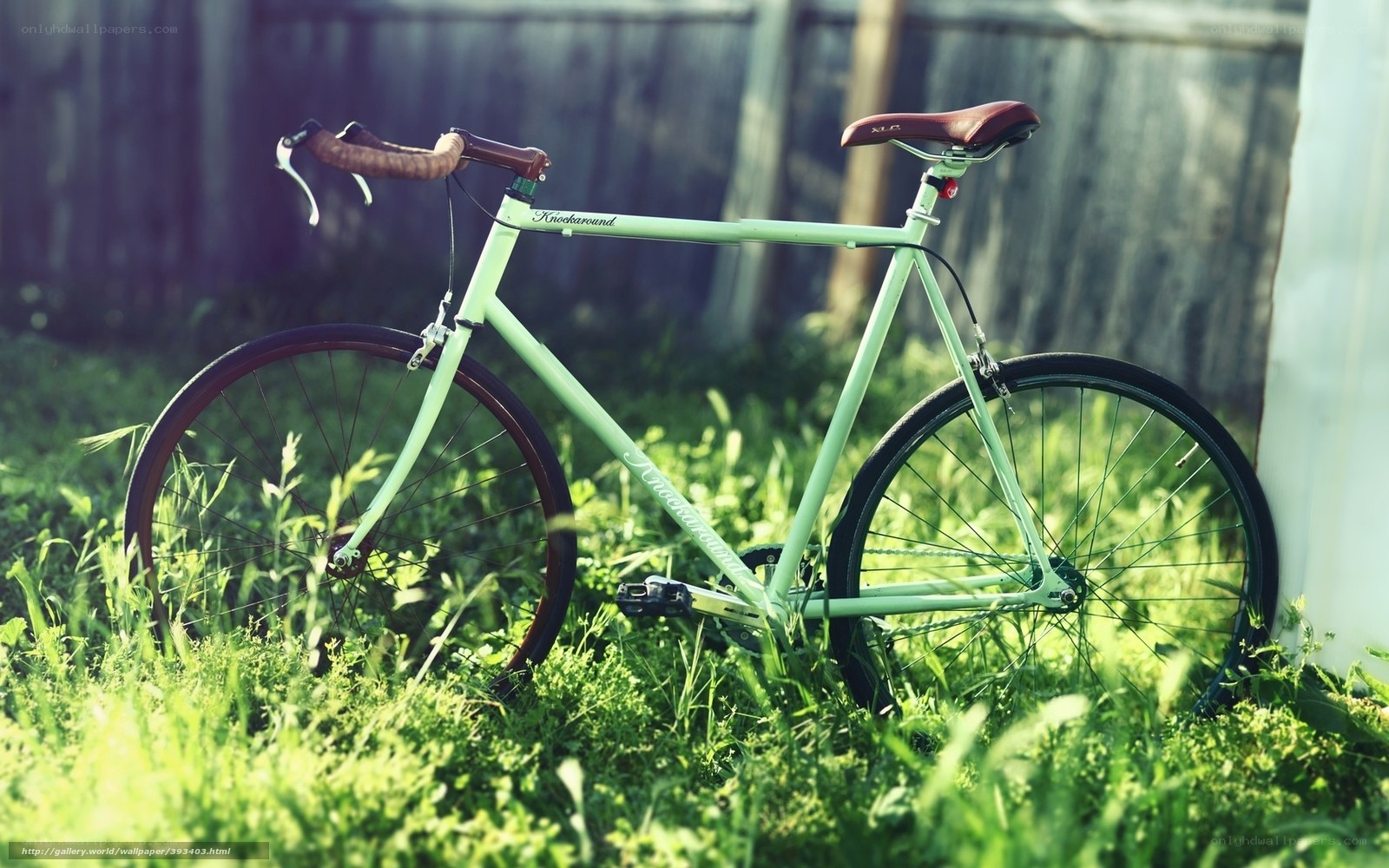 green bicycle in grass