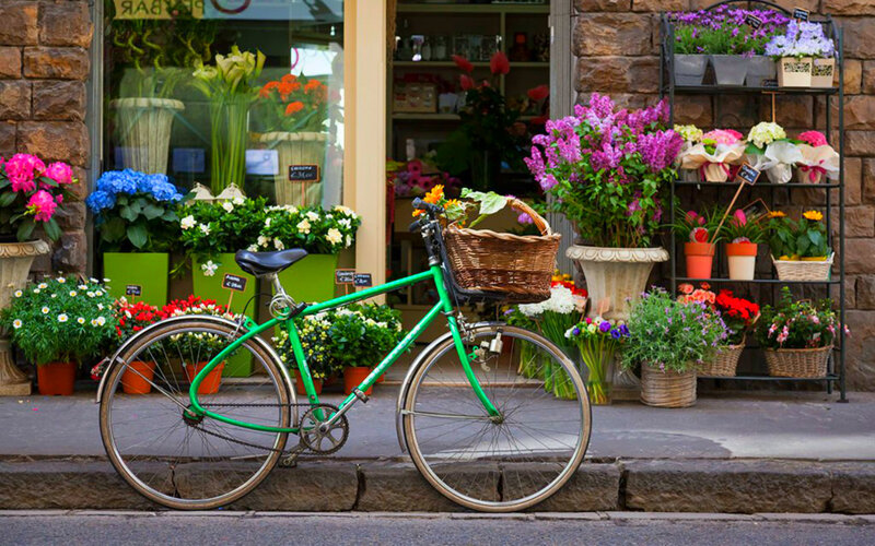 Green Bicycle with Basket