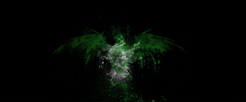 green bird emblem on black