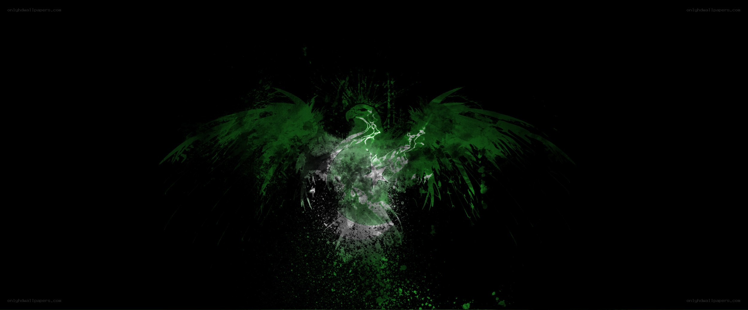green bird emblem on black
