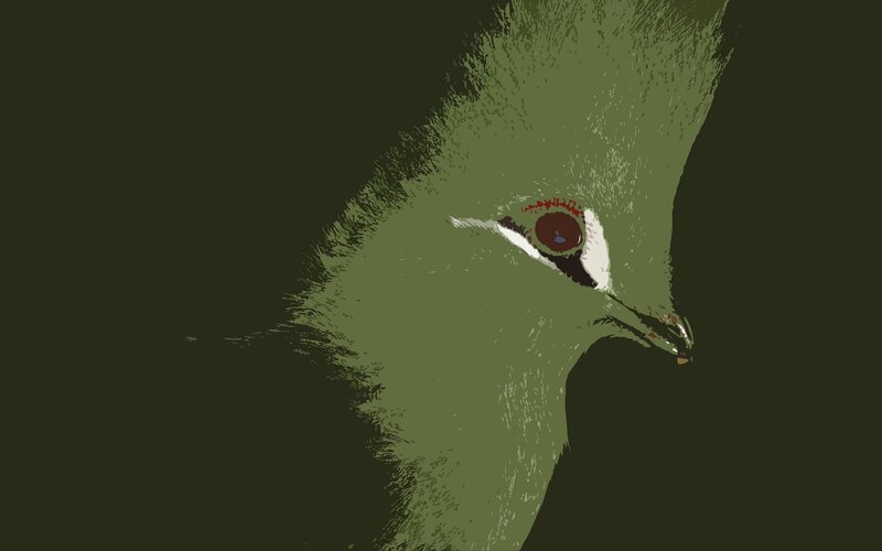 Green Bird Head