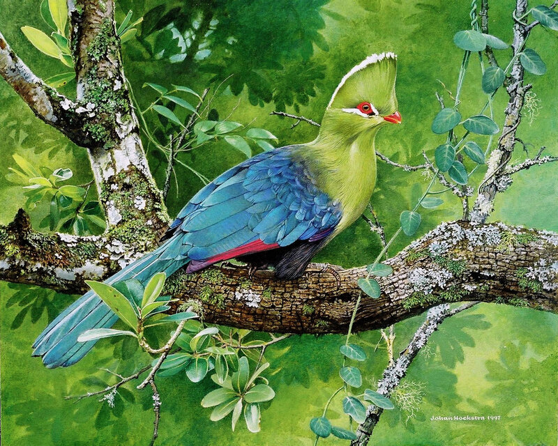 Green Bird on Branch — Serene, Illustration