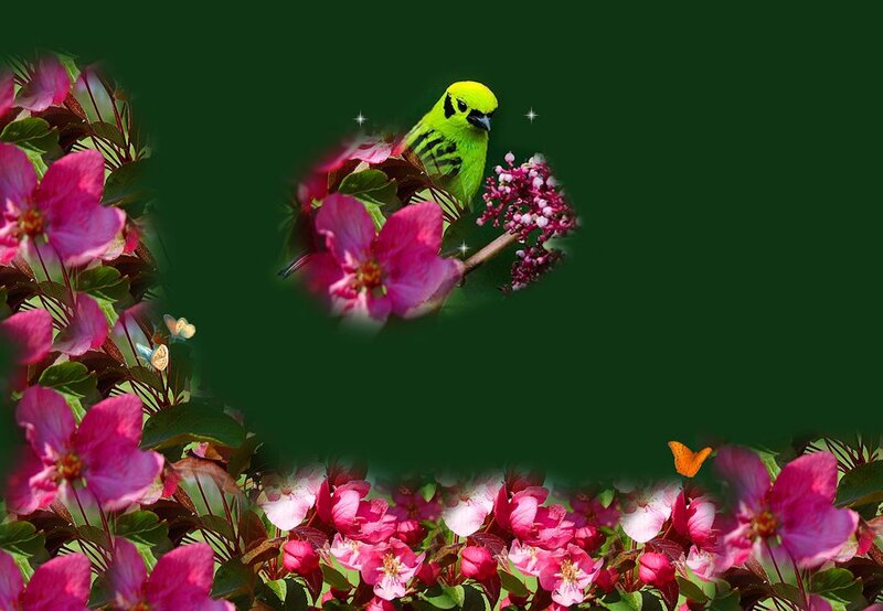 Green Bird on Flowers