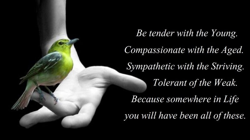 Green Bird on Hand — Black