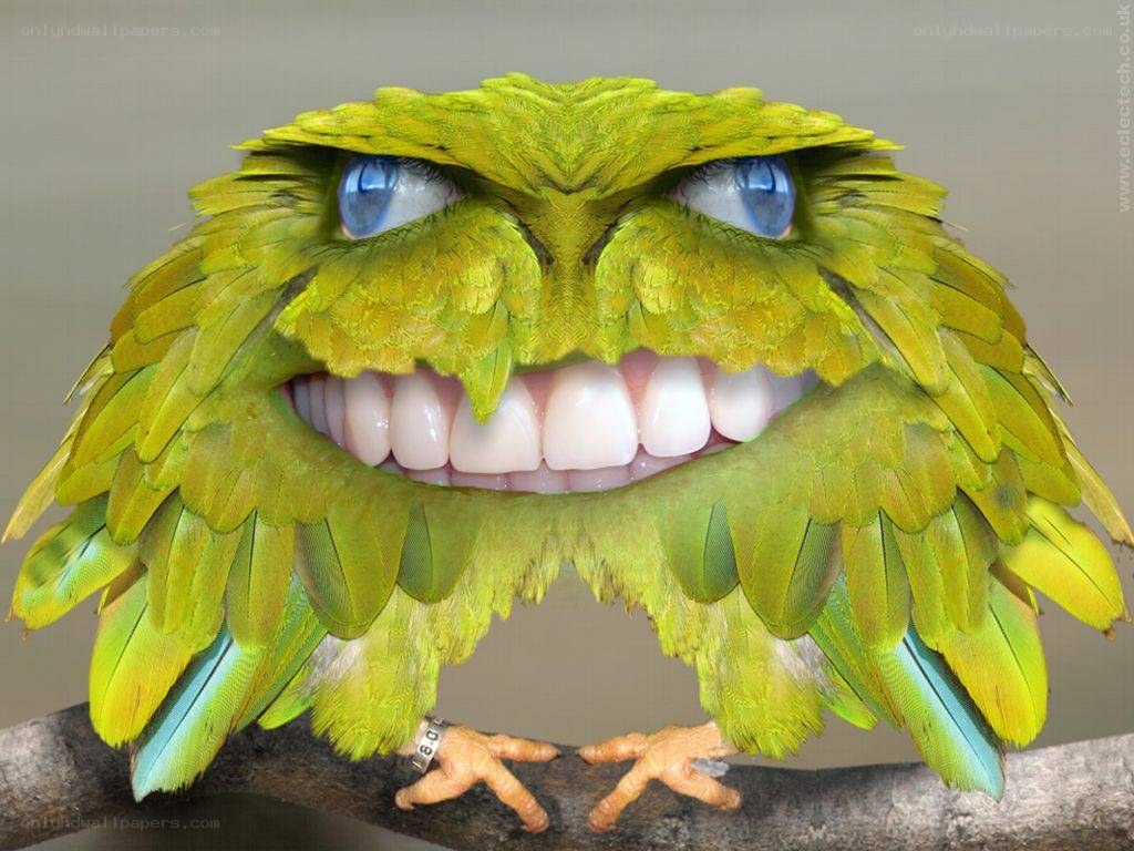 green bird with human teeth