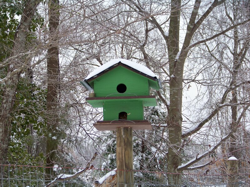 Green Birdhouse in Snow