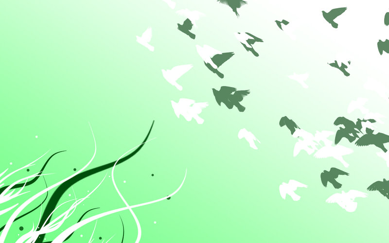 green birds flying