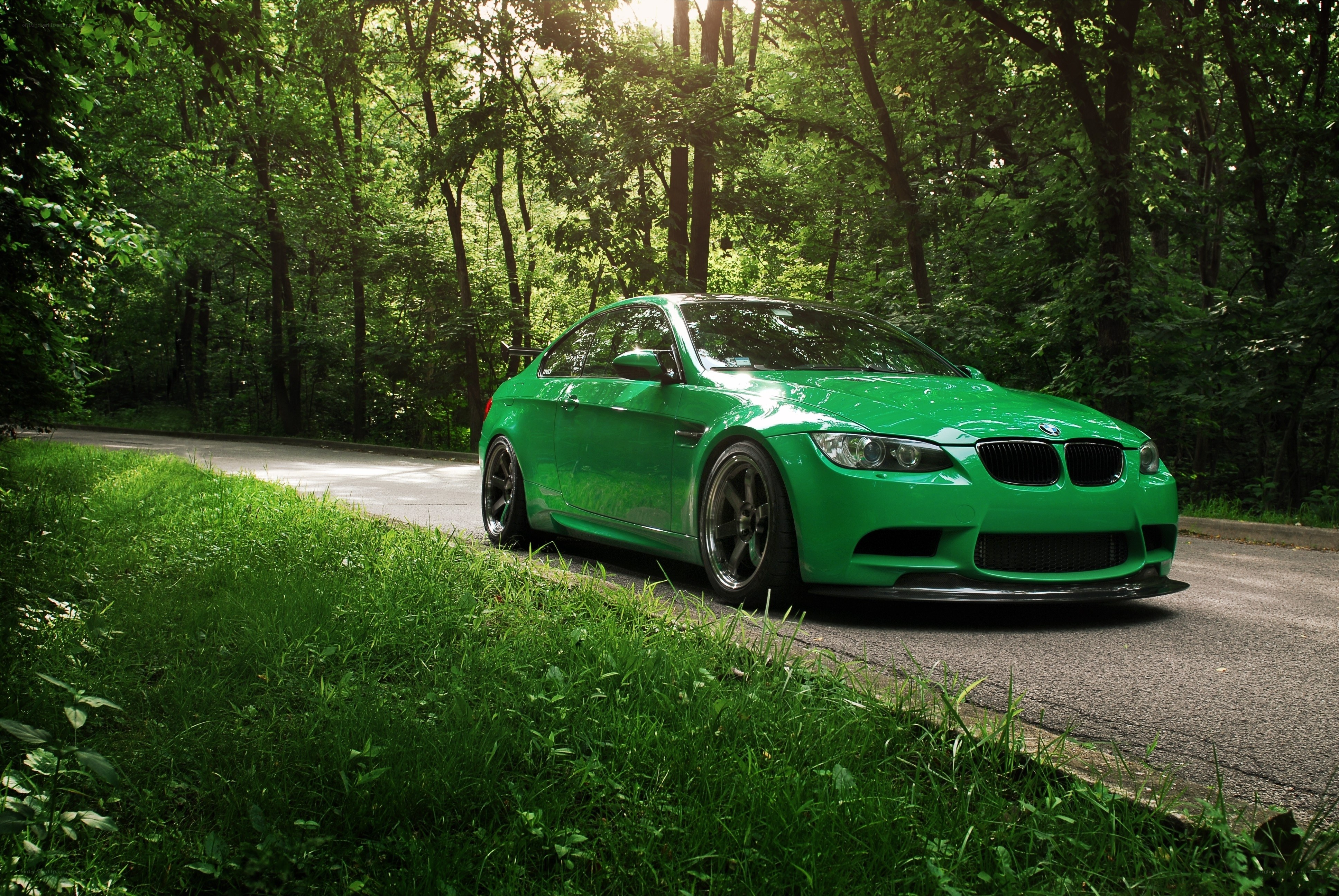 Green BMW in forest