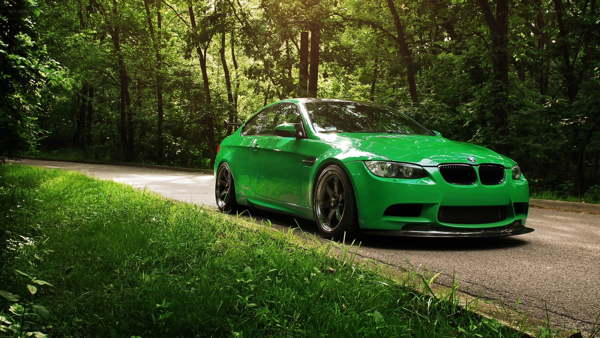 green bmw m3 in forest