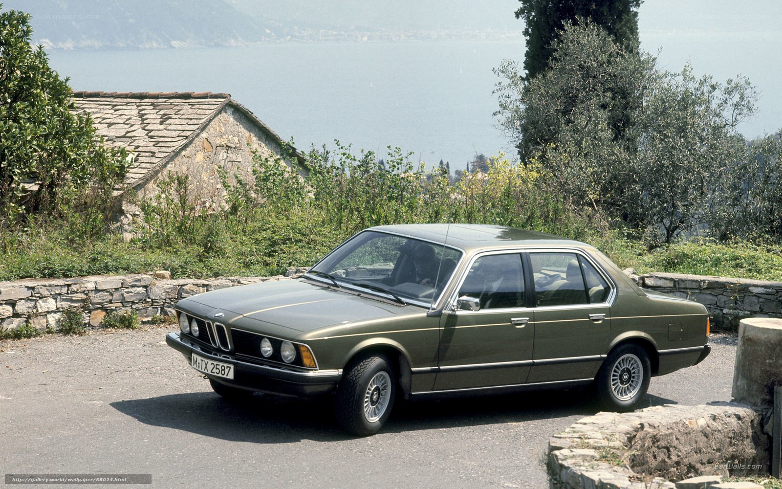 Green BMW sedan by the lake