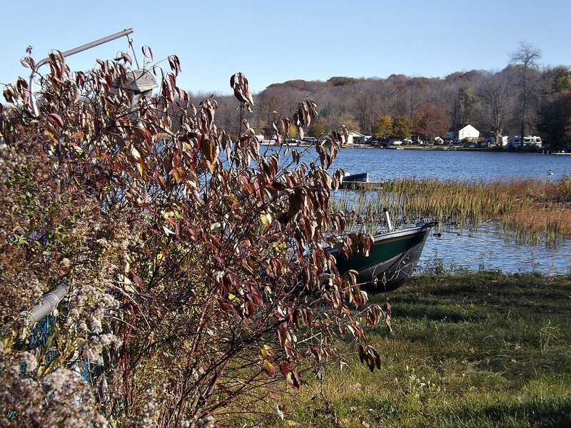 Green Boat on Lake Shore