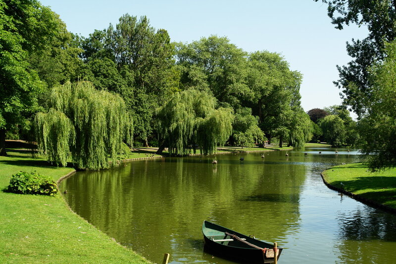 Green Boat on Pond — Serene