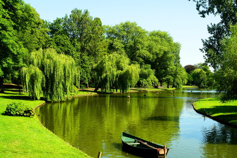 Green Boat on Pond