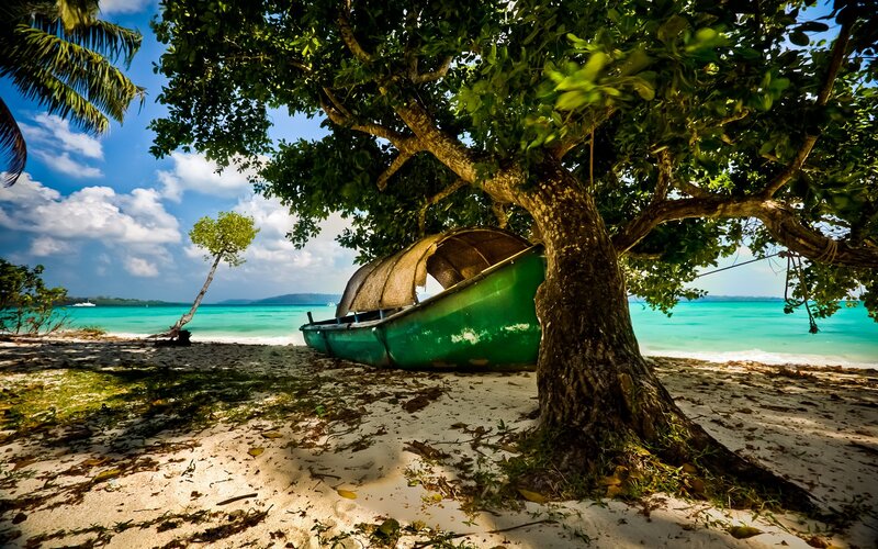 Green Boat under Tree