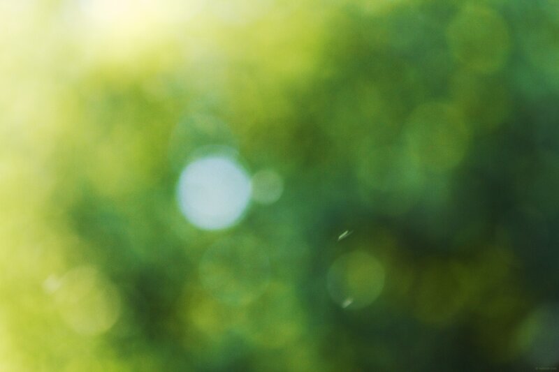 green bokeh background