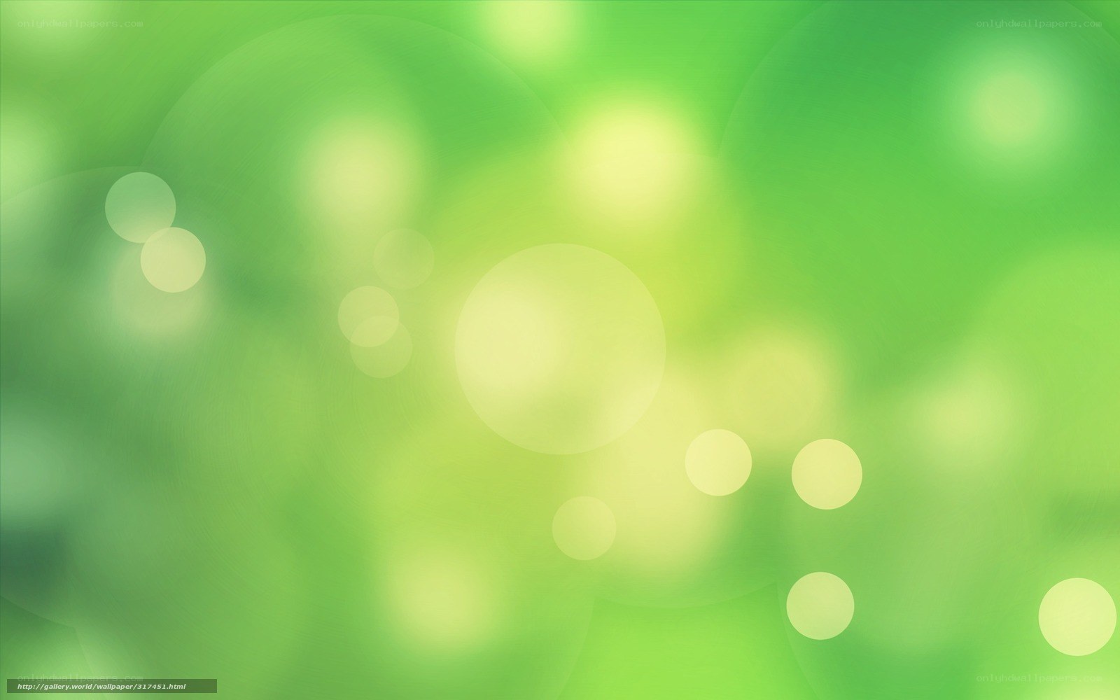 green bokeh background