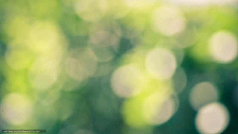Green Bokeh Background — Serene, Photograph