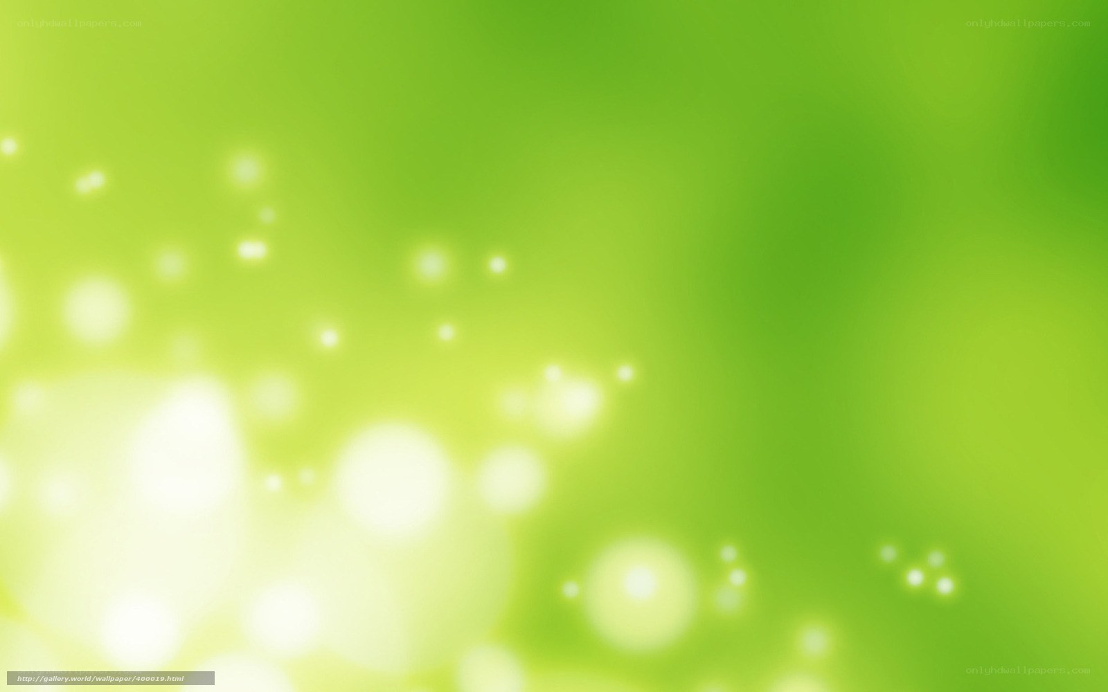 green bokeh light background
