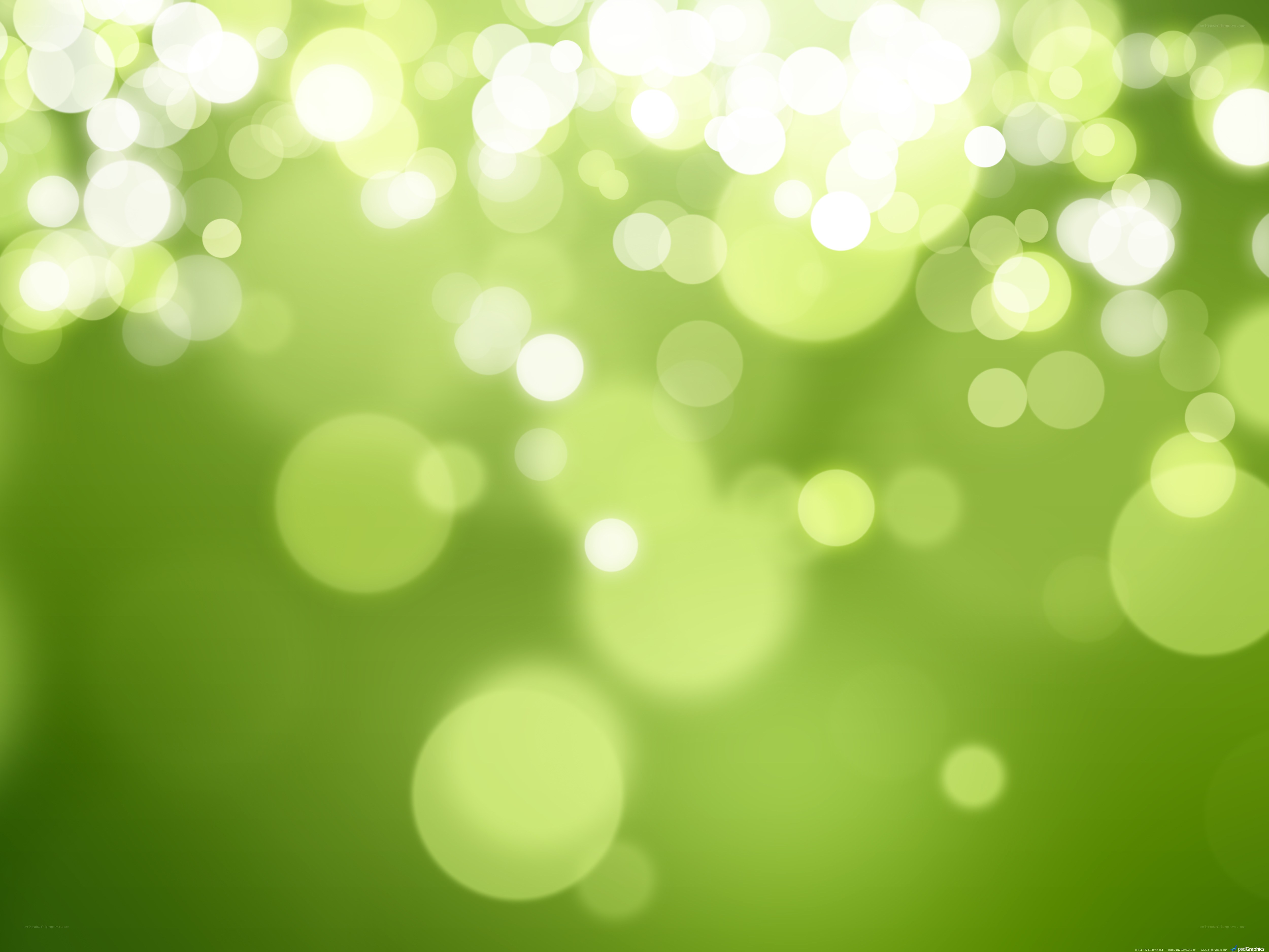 green bokeh light background
