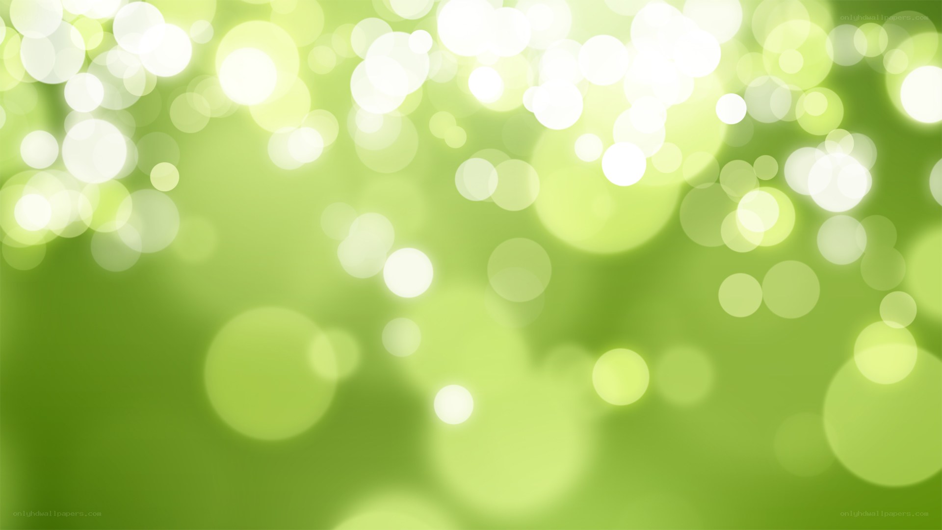 green bokeh lights background