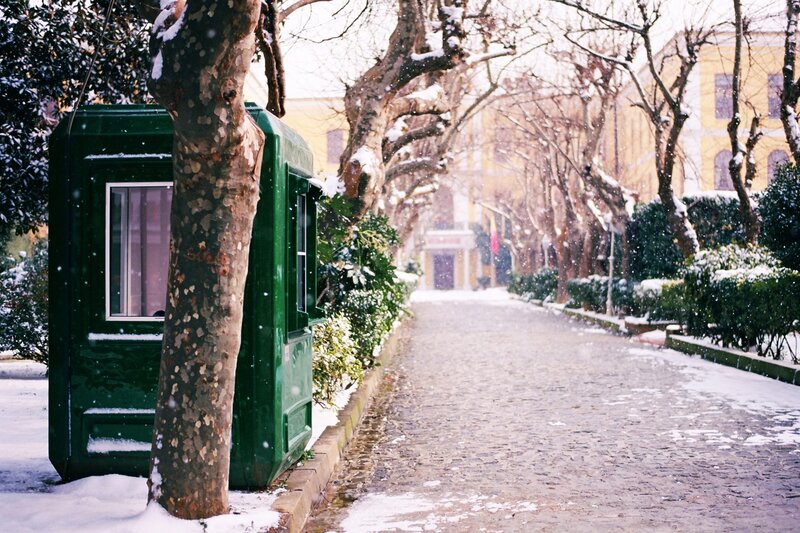 Green Booth in Snow