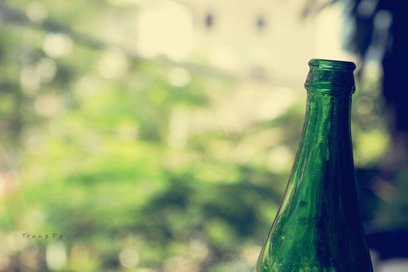 green bottle in sunlight