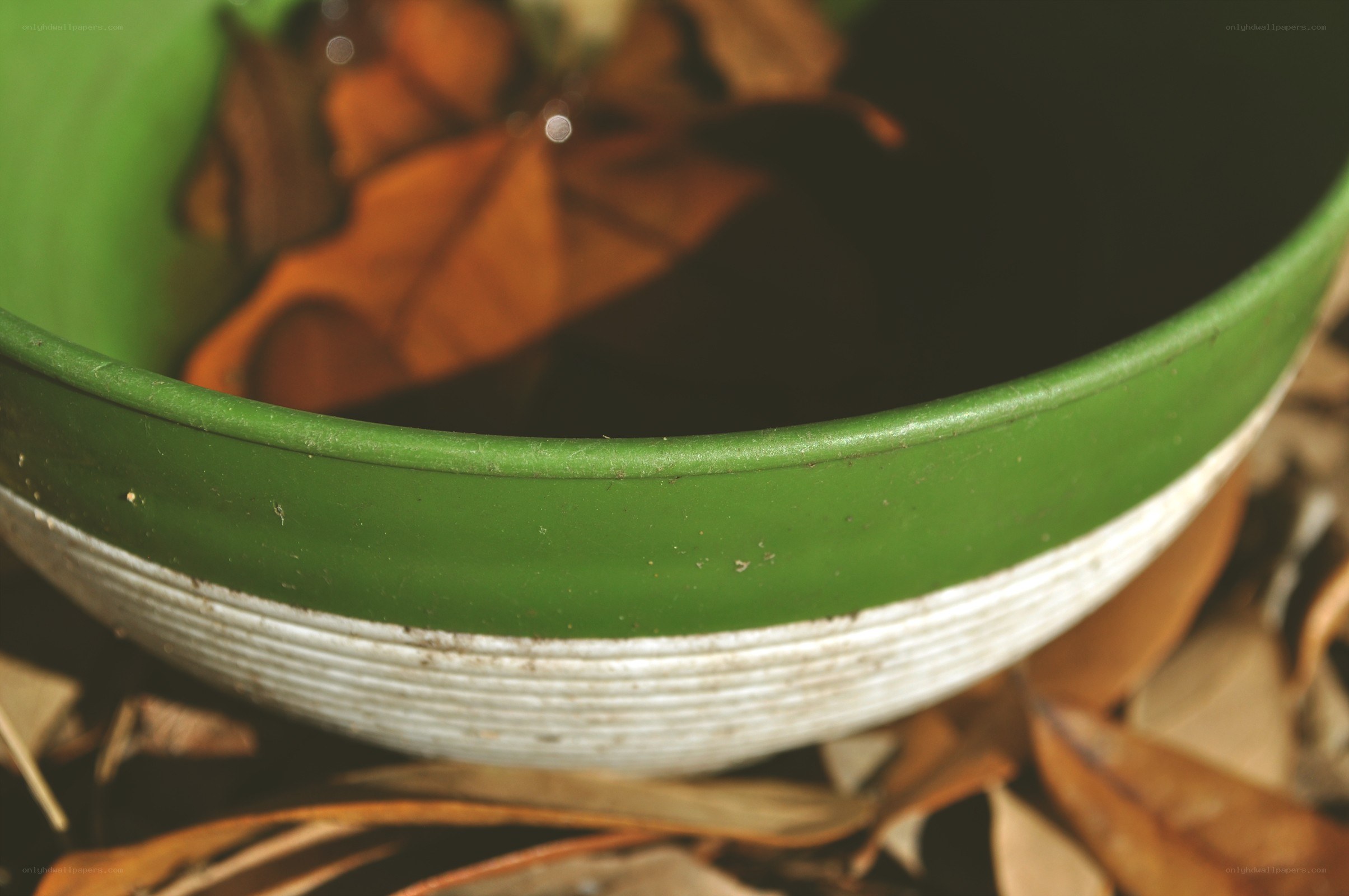 green bowl with leaves