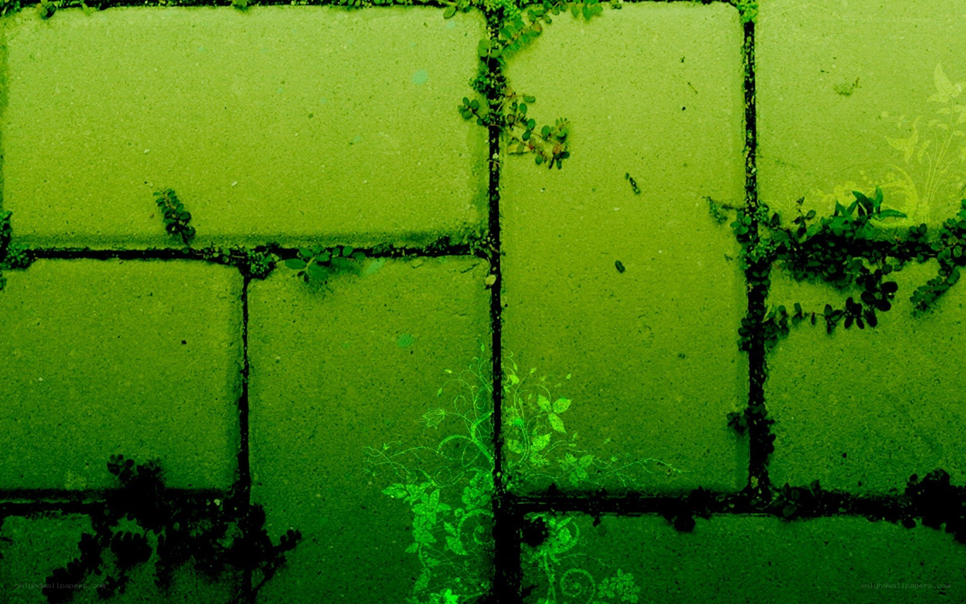 green brick wall with vines