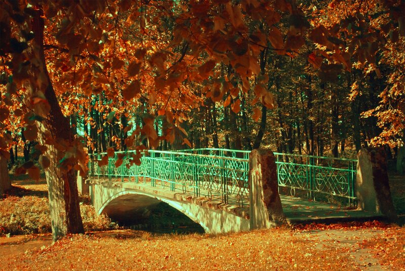 Green Bridge in Autumn