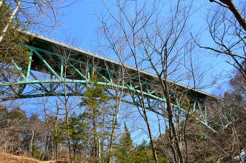 Green Bridge in Forest — Blue