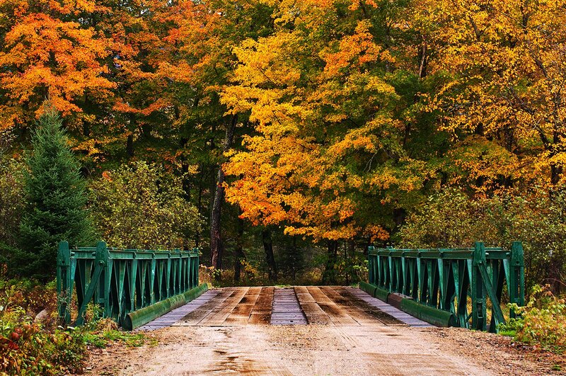 Green Bridge in Forest — Orange